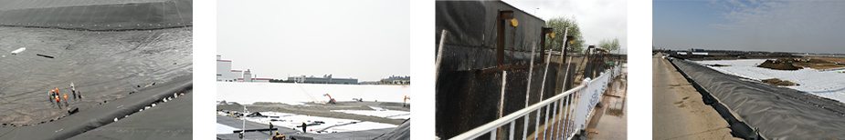 1615280214166767.jpg JU.jpg