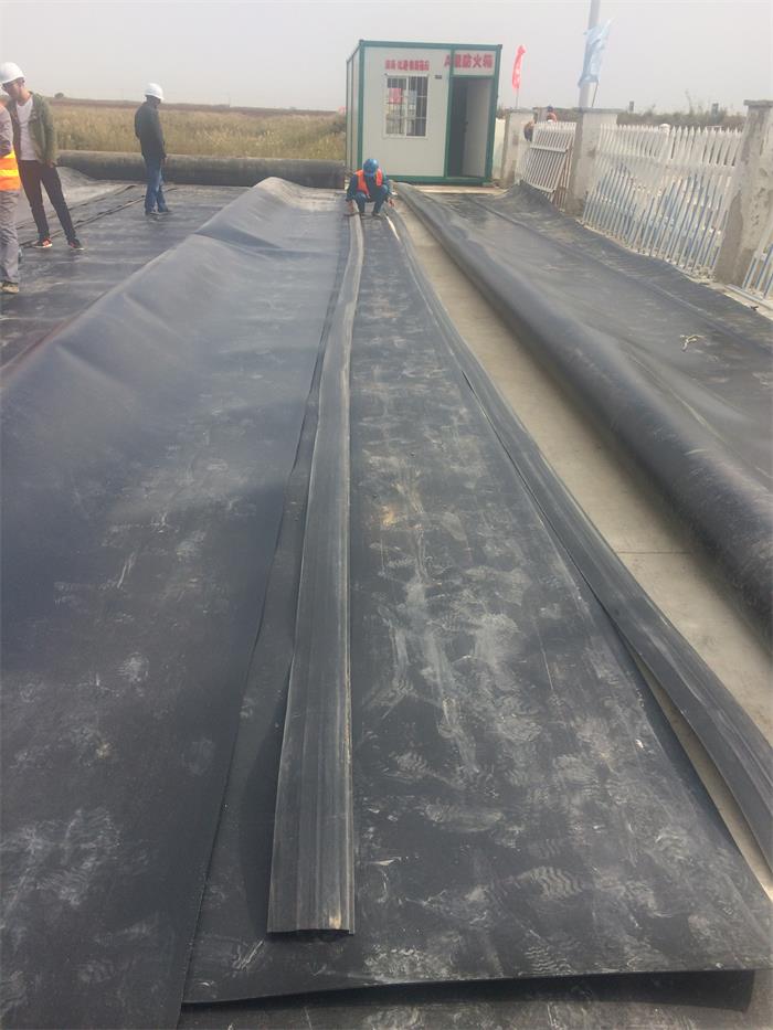 1616654984542037.jpg 1.JPG