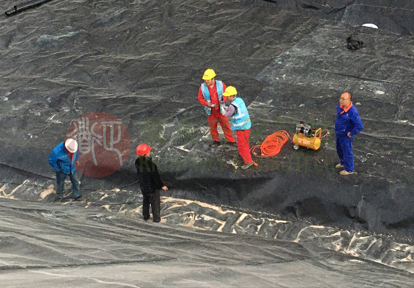 1636447028127343.jpg 1636447028127343.jpg