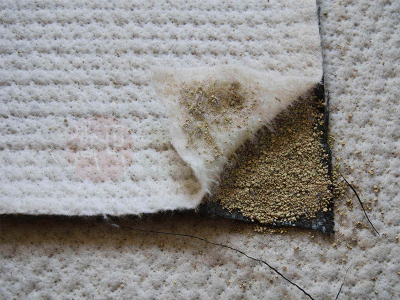 1638952750111310.jpg 1638952750111310.jpg